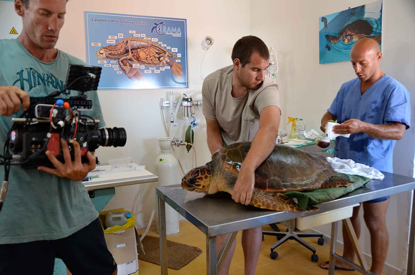 A Plastic Ocean Hilfe für Schildkroeten