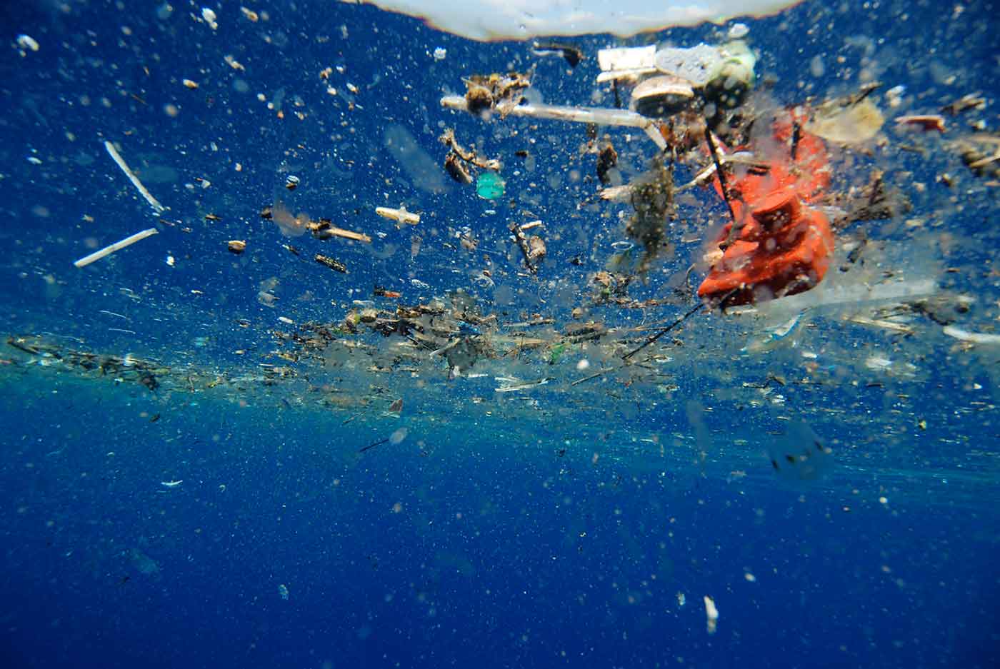 A Plastic Ocean Plastikmüll