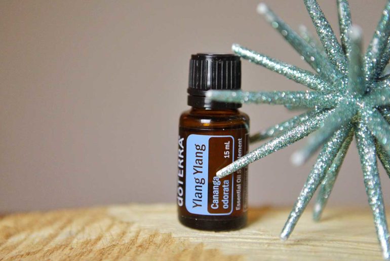 Essential Oils 09.12.: Ätherische Öle für die Winterzeit/ Monkeymindyoga doTERRRA Öle im Winter